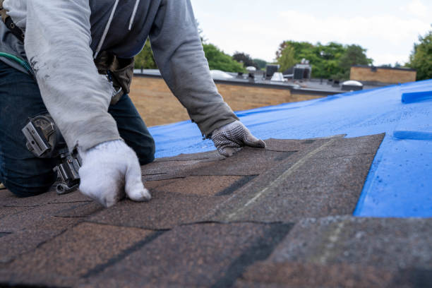 Best Commercial Roof Installation  in Shaw, MS