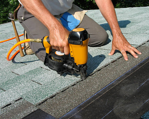 Best Storm Damage Roof Repair  in Shaw, MS